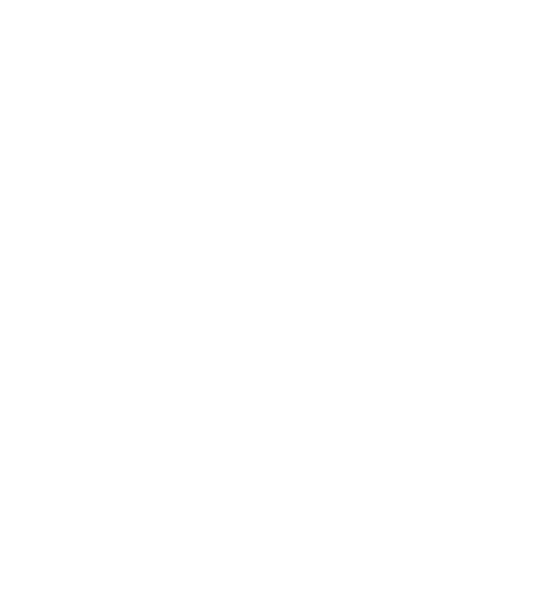 S&L Lean Consulting